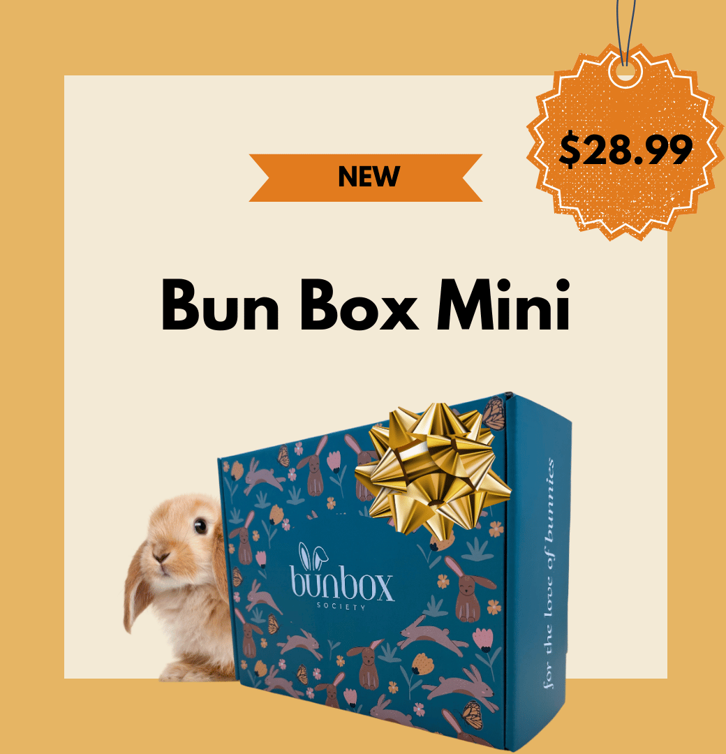 Subscription Box for Rabbits USA