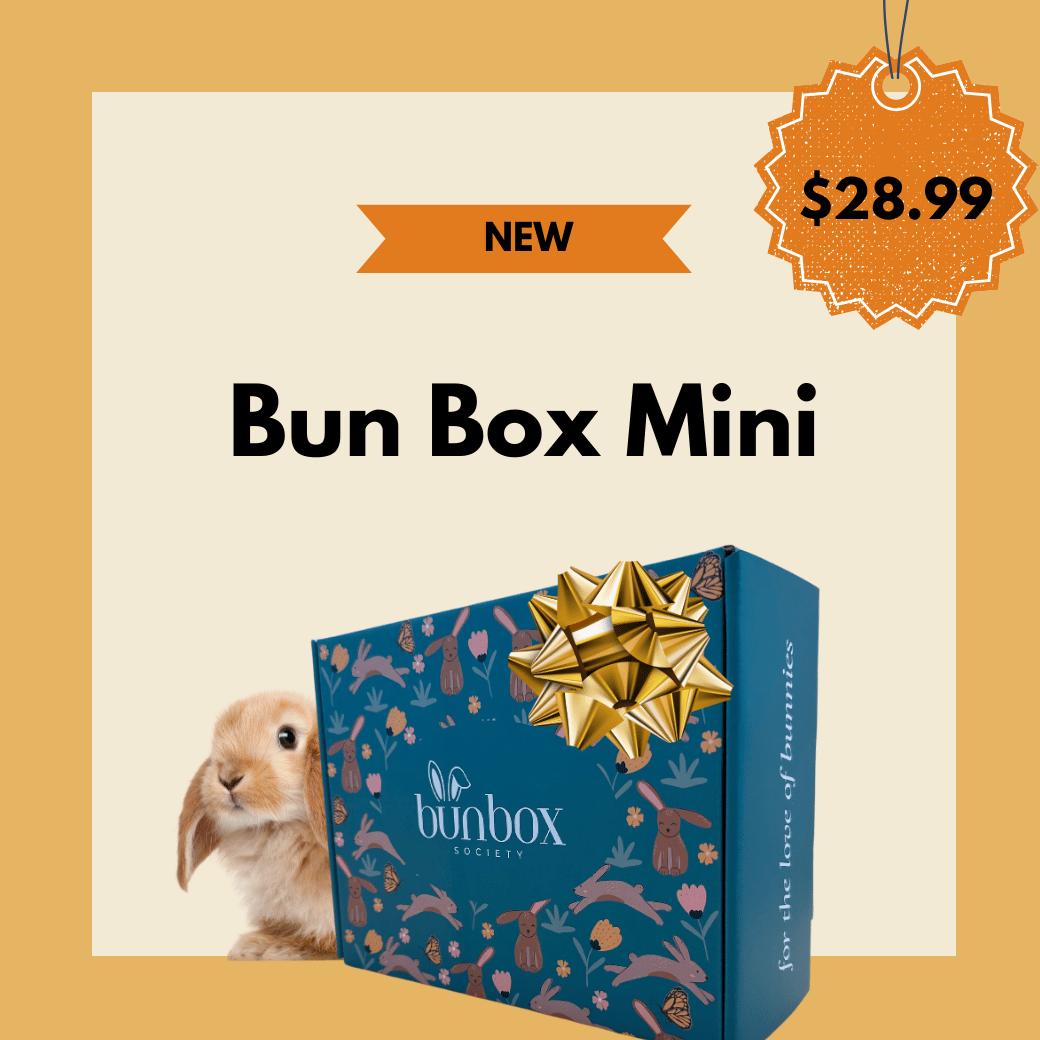 Subscription Box for Rabbits USA