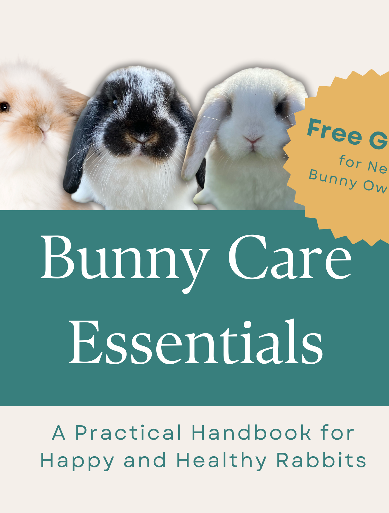 Bunny care Guide
