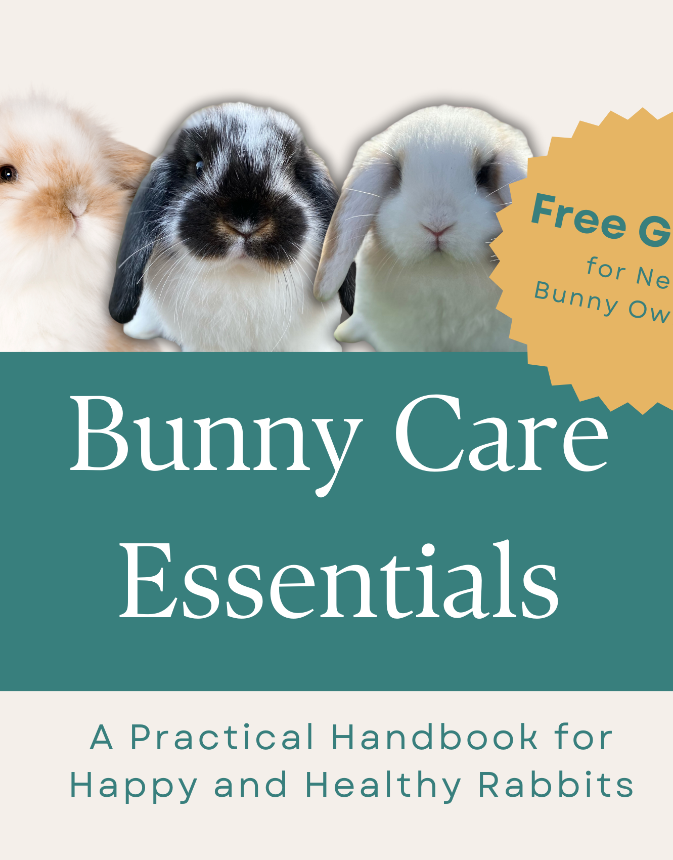 Bunny care Guide