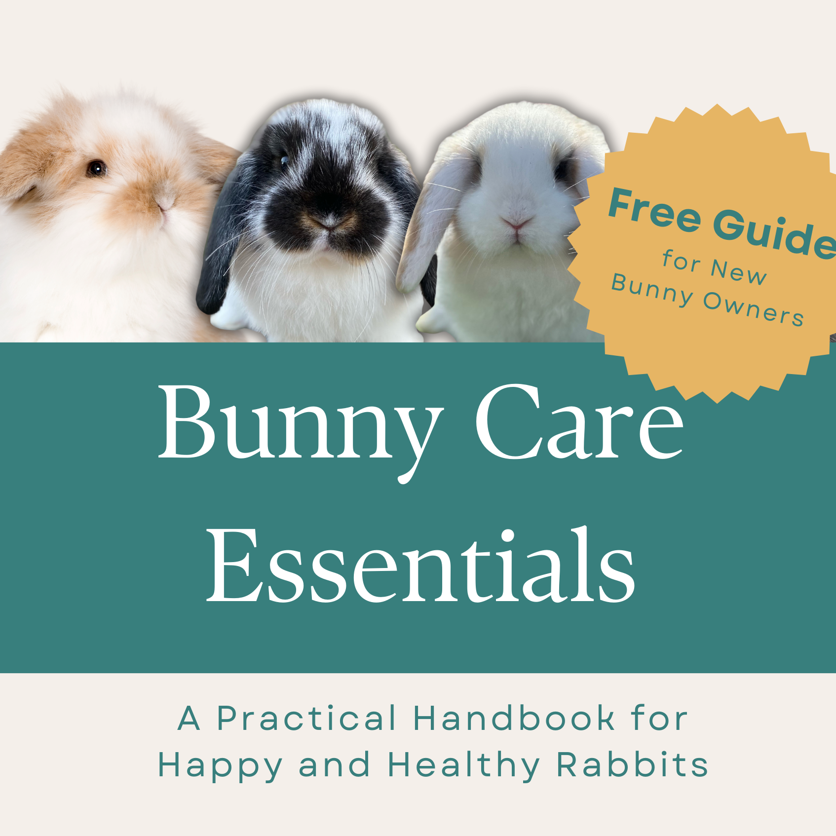 How to Care for Bunnies