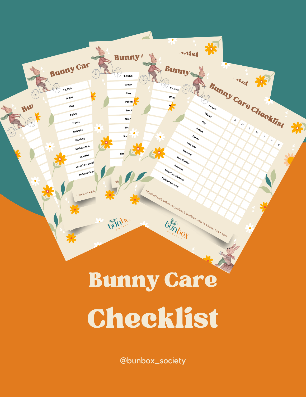 Bunny care checklist