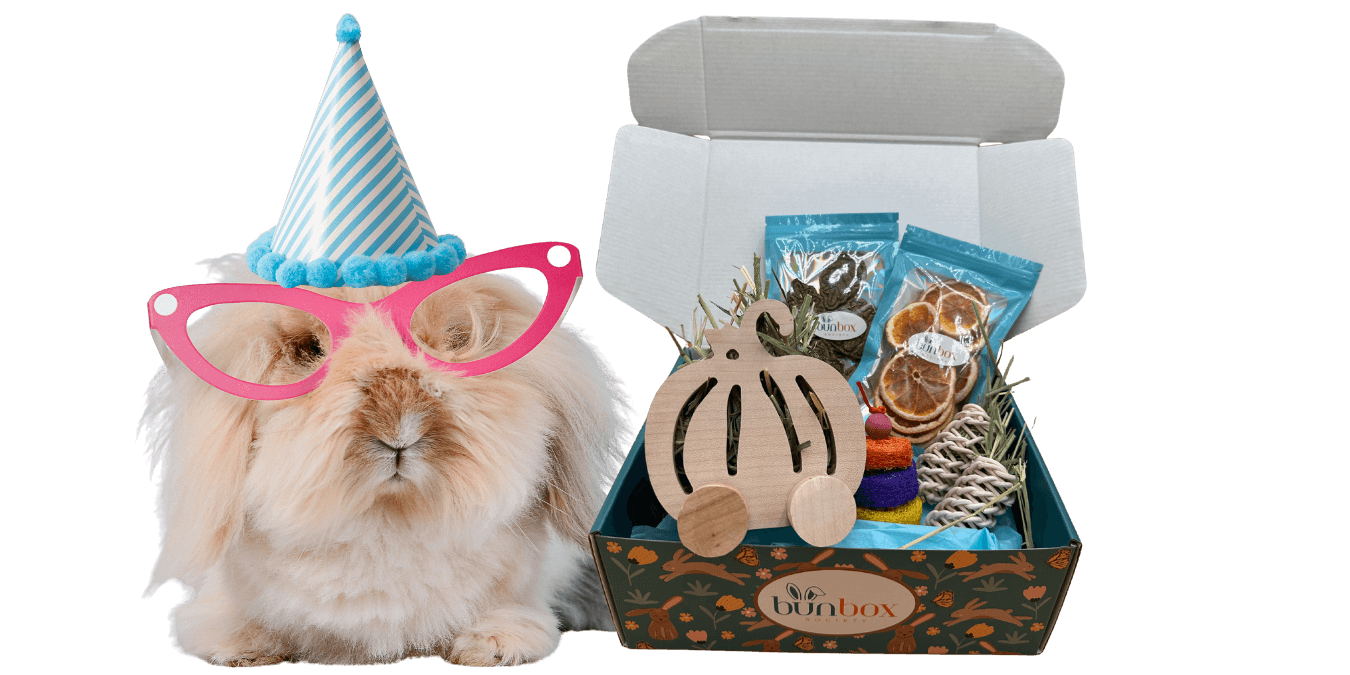 Rabbit Subscription Box USA Rabbit Subscription Box USA