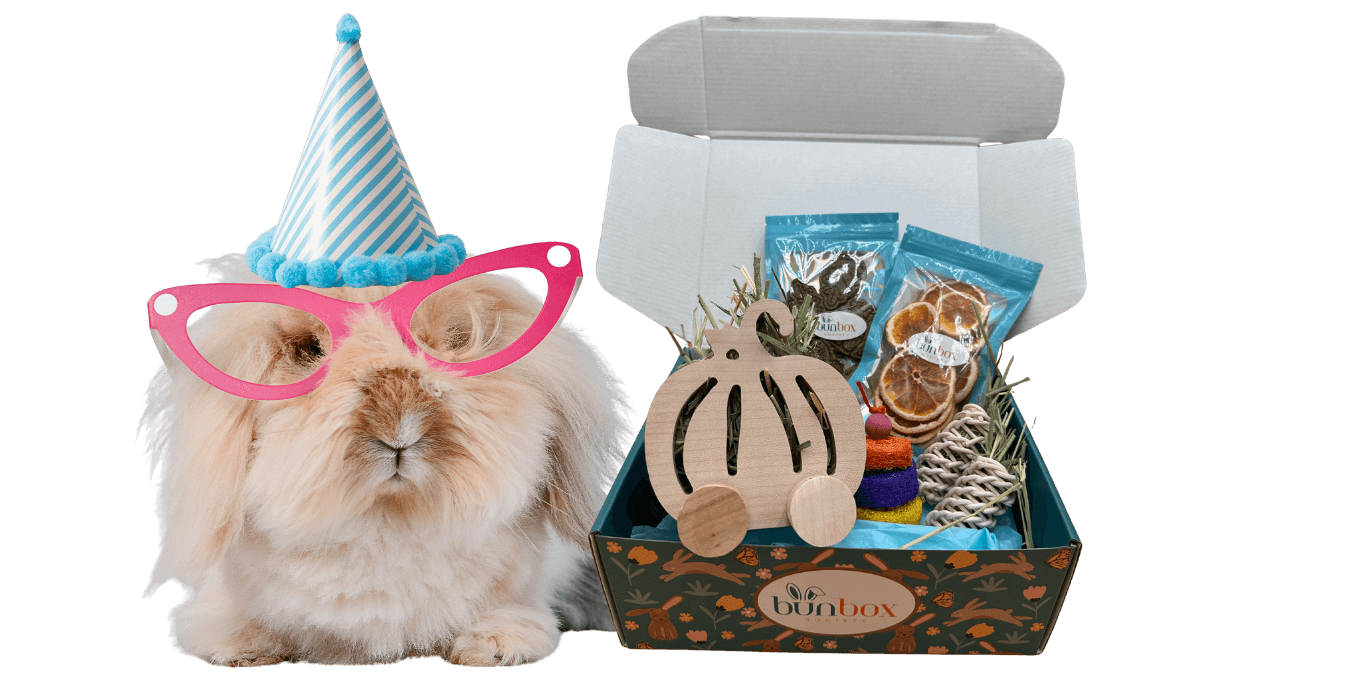 Rabbit Subscription Box USA