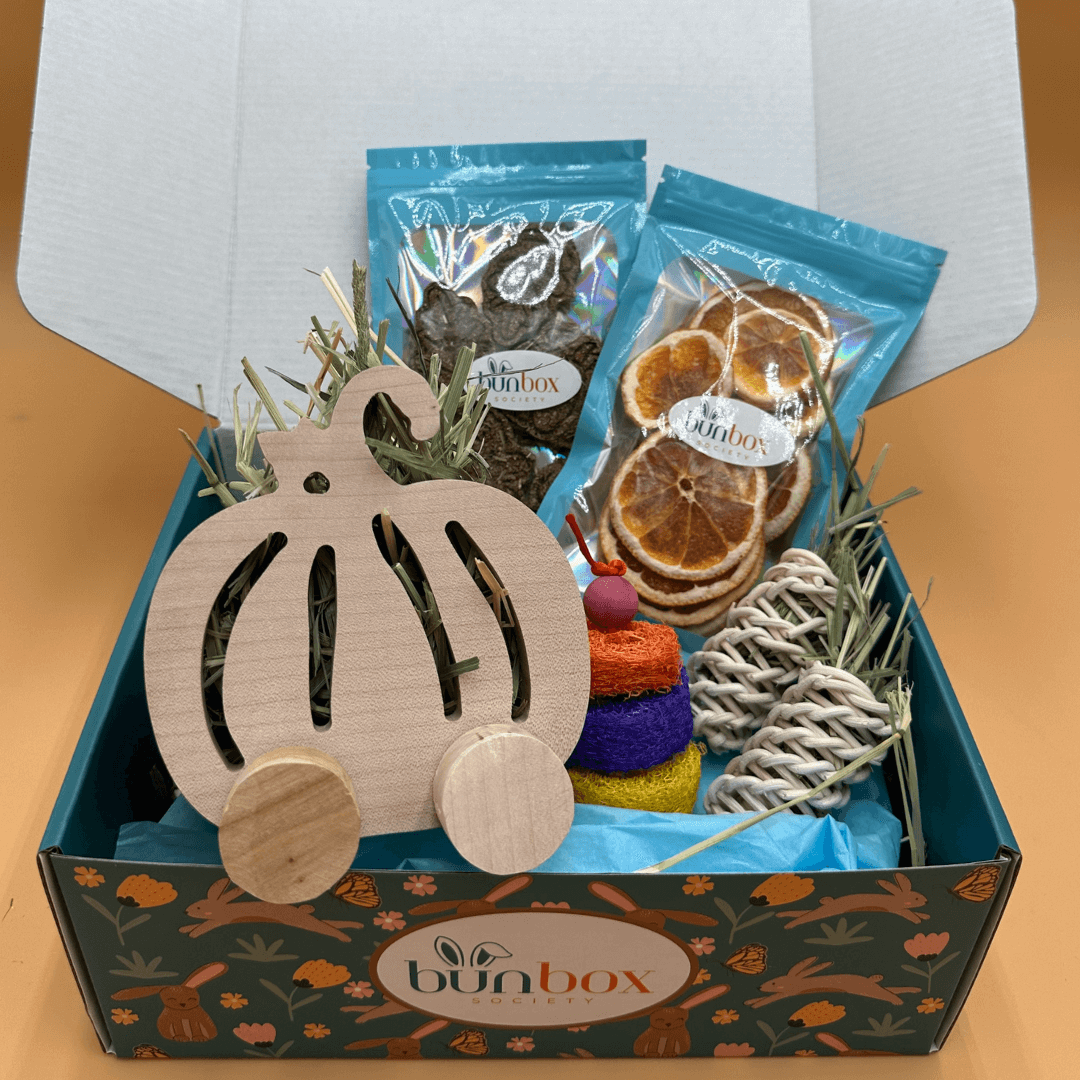Bunny Subscription Box Bunny Subscription Box
