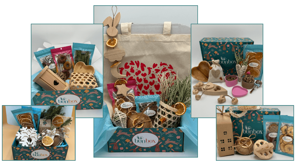 775-subscription-box-for-bunnies-3-2-17162510026199.png