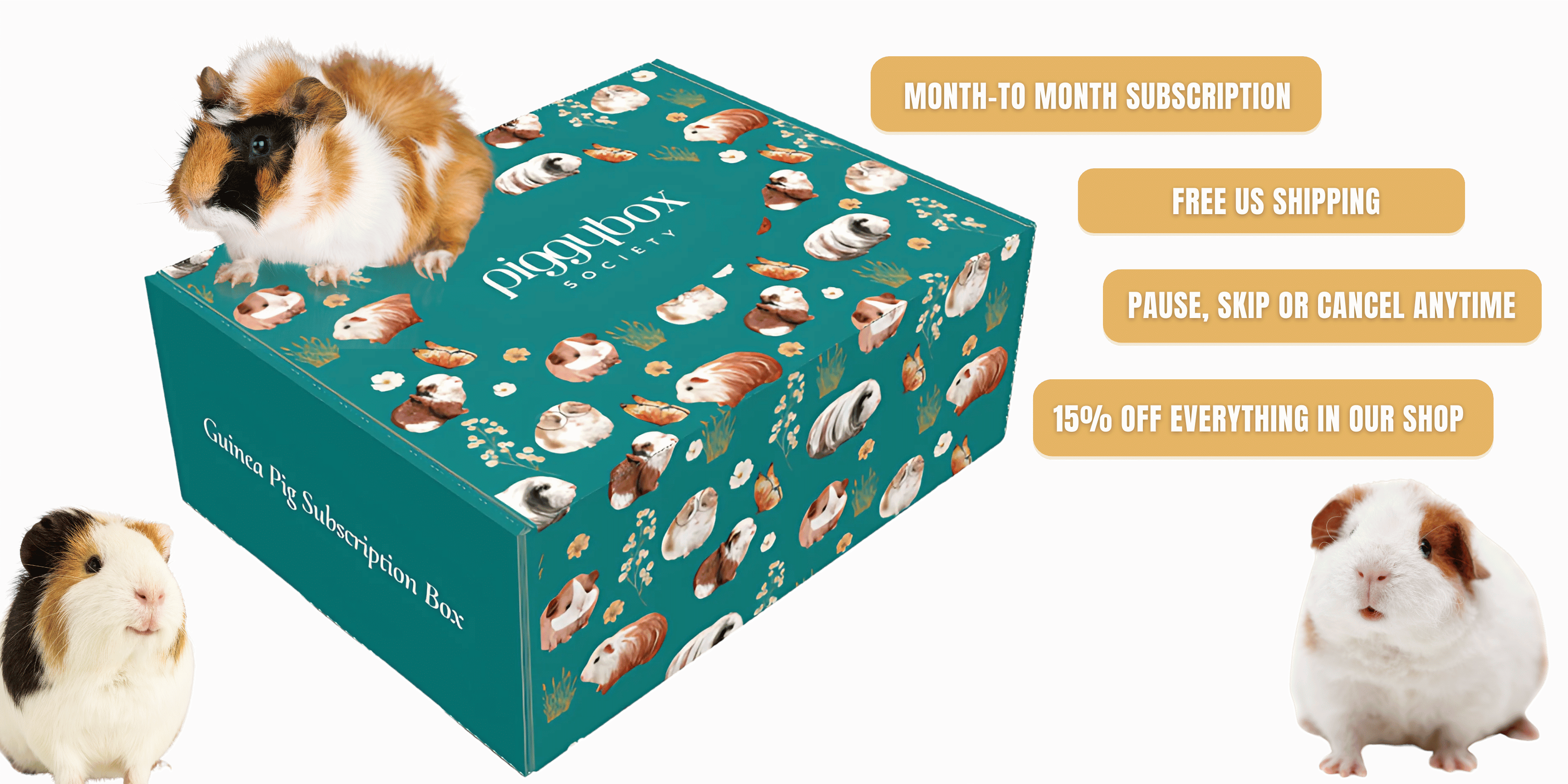 Piggy Box Society subscription box for guinea pigs