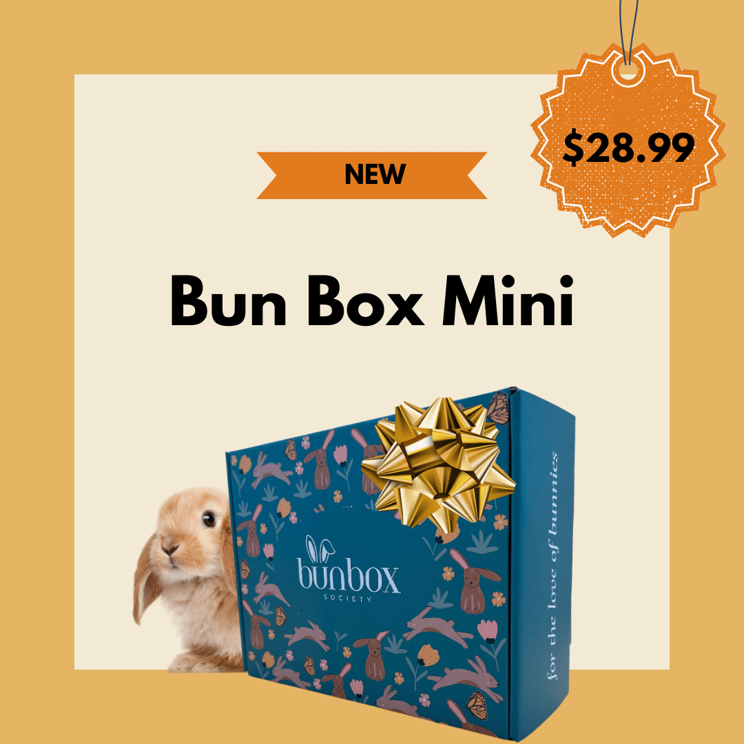 Subscription Box for Rabbits USA