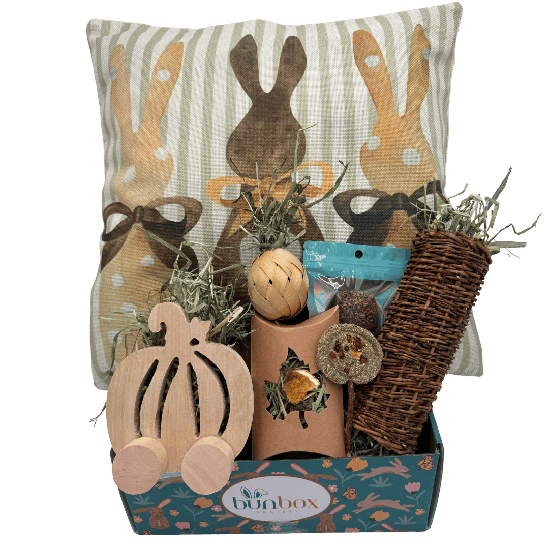 924-bunny-subscription-box-17542508790362.png