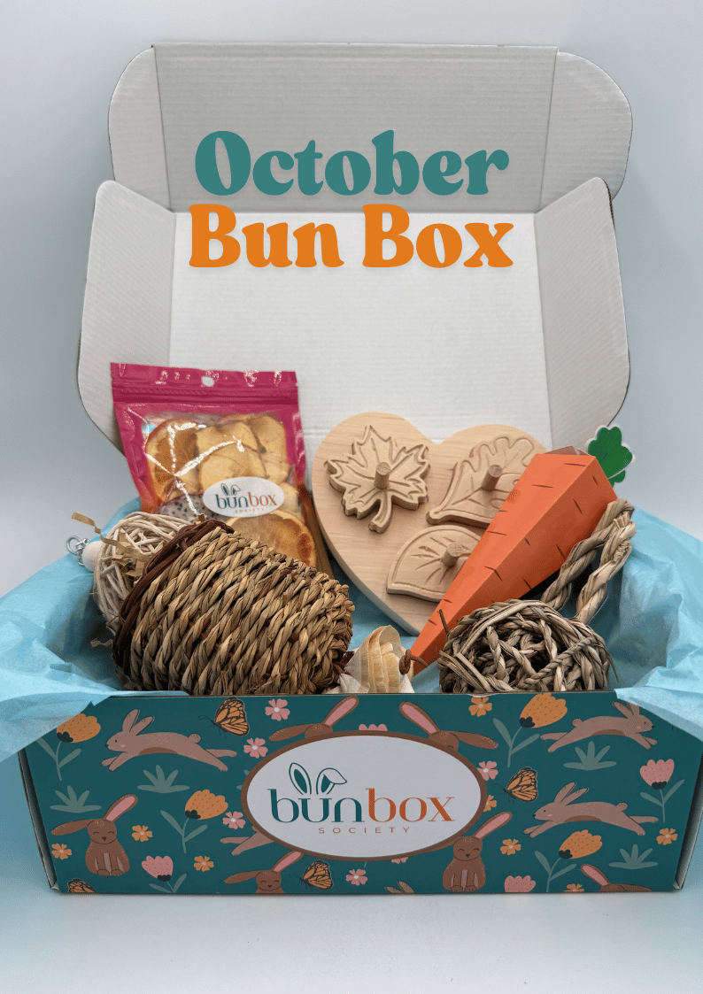 932-bunny-subscription-box-20-17592755754013.png