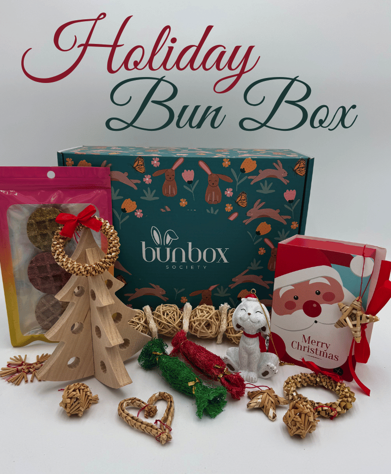 932-holiday-subscription-box-for-bunnies-17610832868241.png