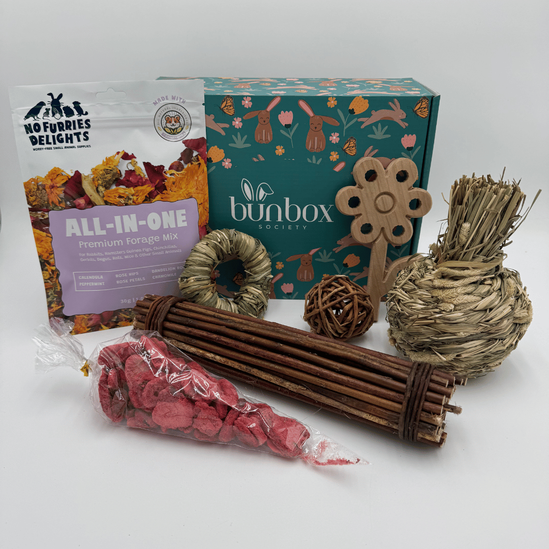 941-bunny-subscription-box-26-17855652782415.png
