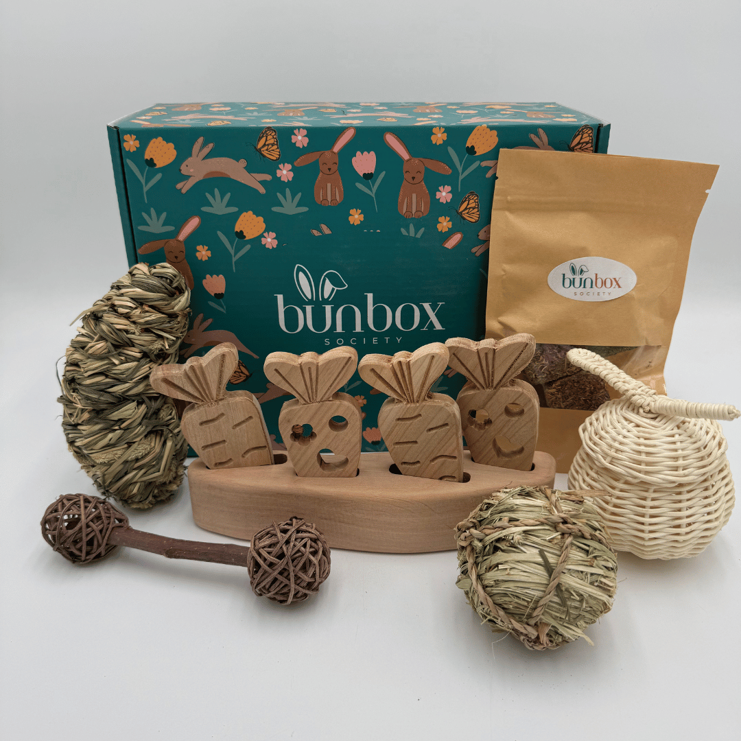 941-bunny-subscription-box-27-17883750978529.png