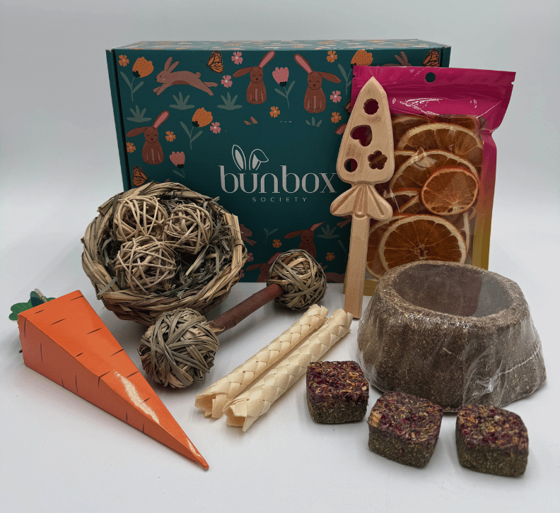 941-subscription-box-for-bunnies-15-17662584853879.png