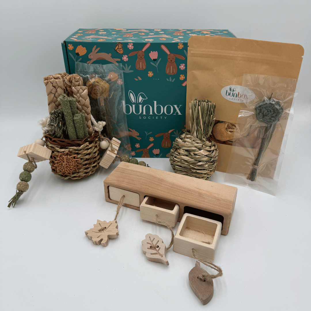 941-subscription-box-for-bunnies-27-17908340868738.png