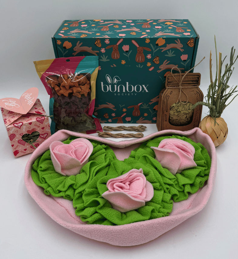 941-subscription-box-for-bunnies-rabbit-subscription-box-bunny-gift-box-3-17697152416888.png