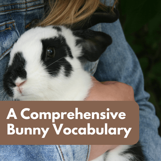 A Comprehensive Bunny Vocabulary