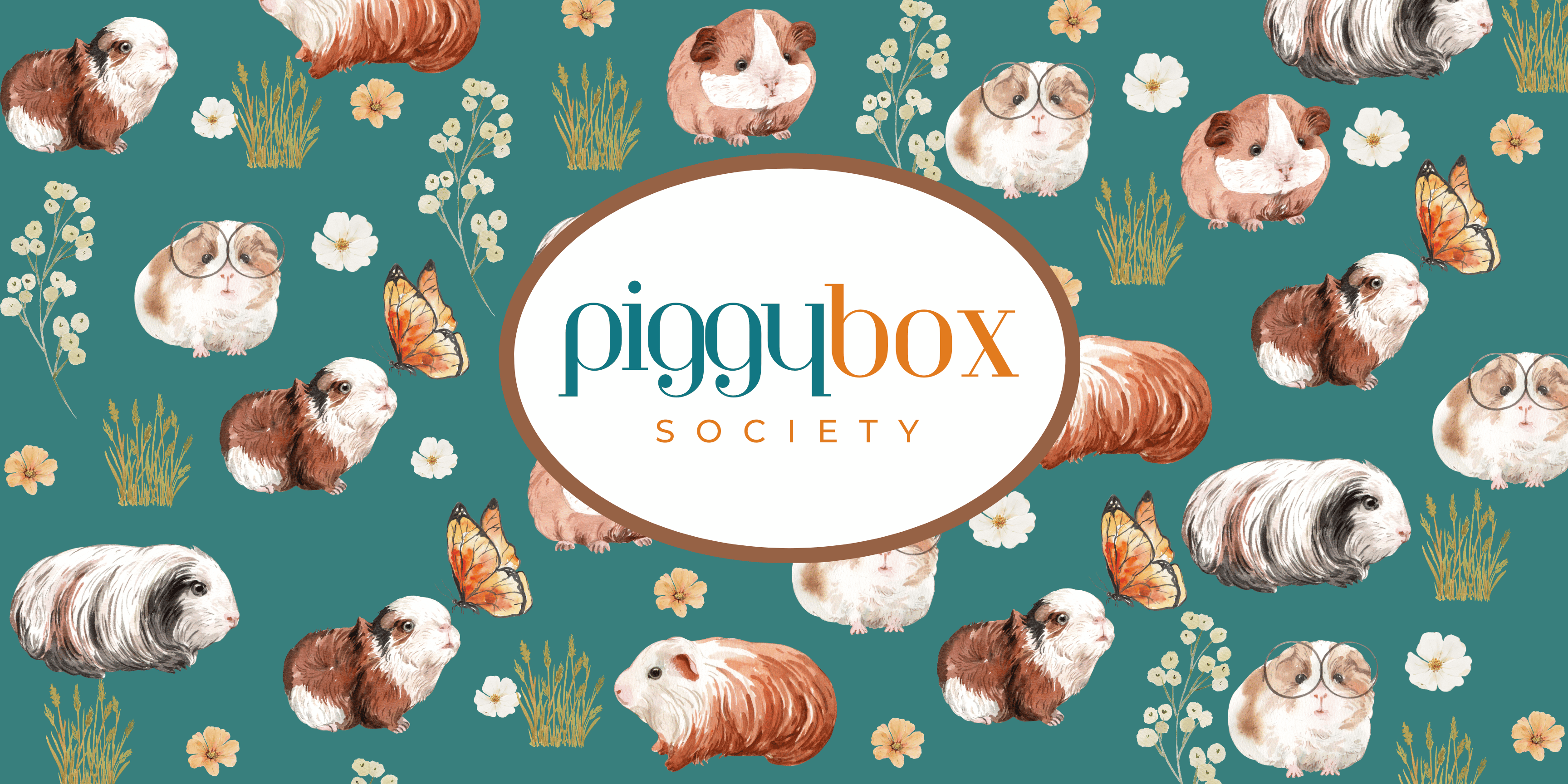 r307-subscription-box-for-guinea-pigs-17355853844771.png