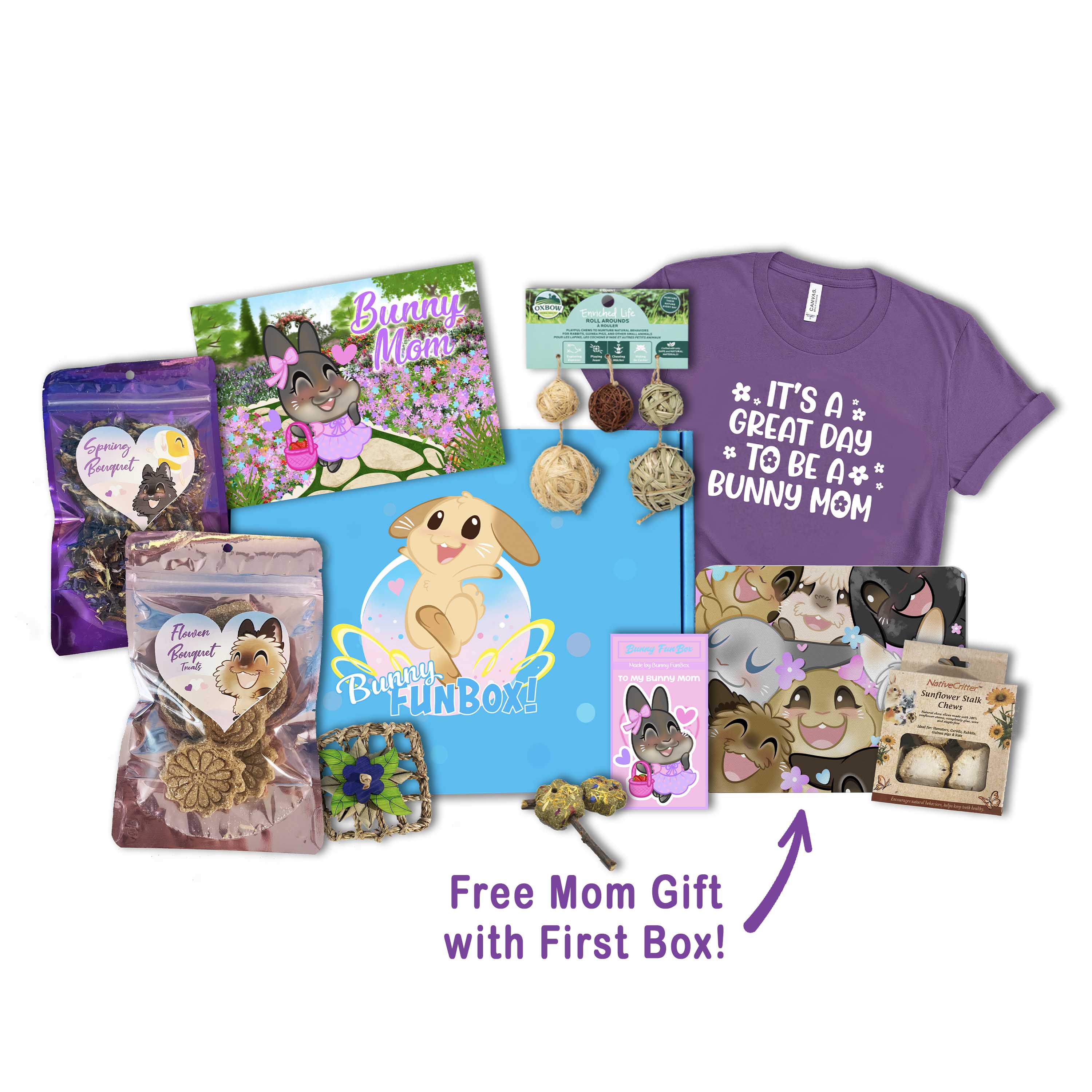 Bunny FunBox Deluxe Box Bunny FunBox Deluxe Box