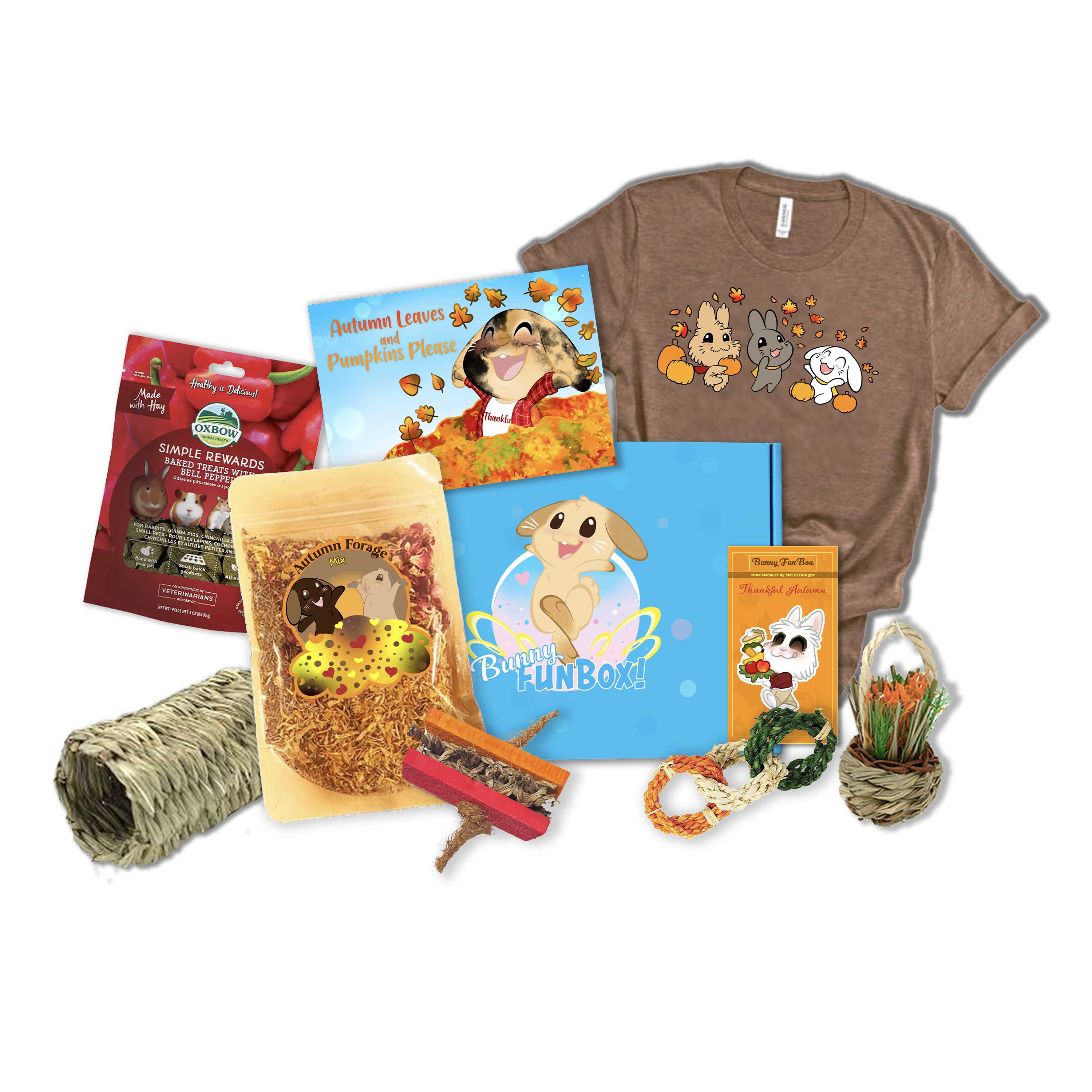Bunny FunBox Deluxe Box