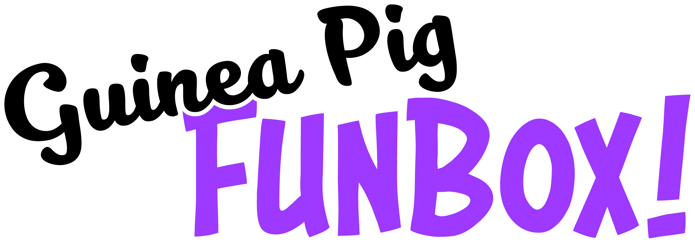 Guinea Pig FunBox