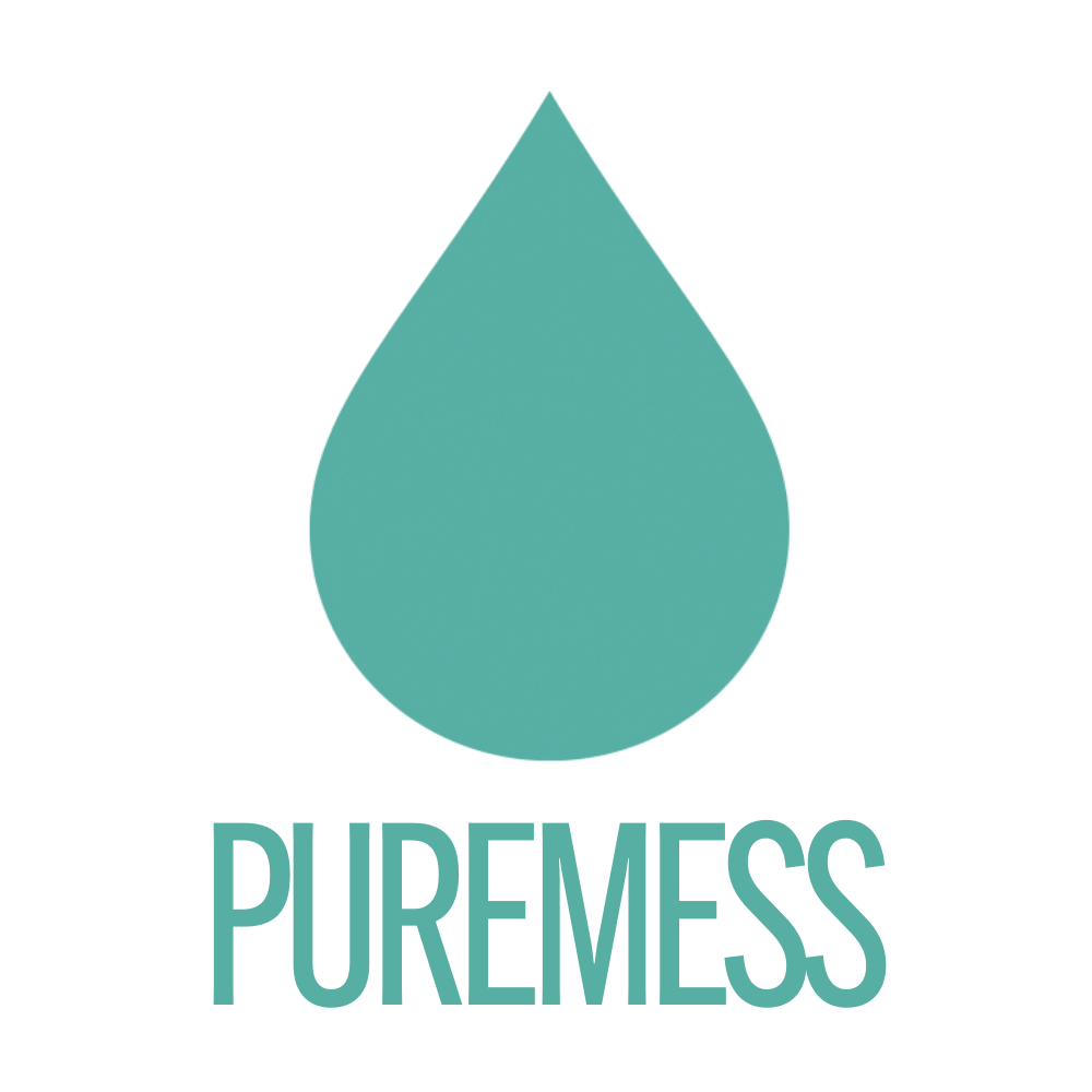 481-puremess-blue-logo-2-17162972181464.png