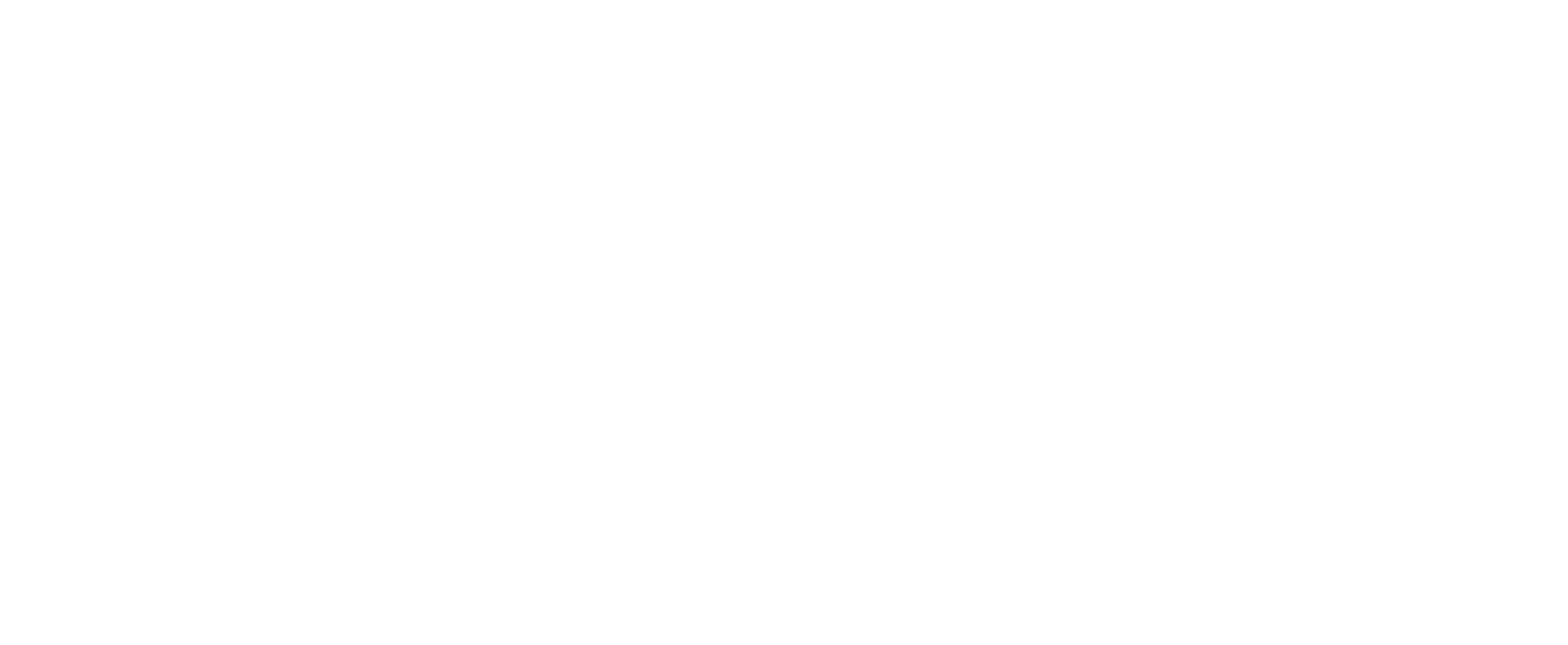 102124874575-logo-binocle-subscriptions-slimmer-1.png