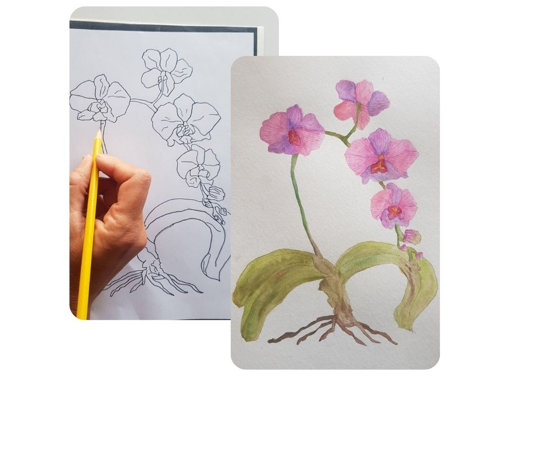 08110809181652-orchid-drawing-16484135526459.jpg