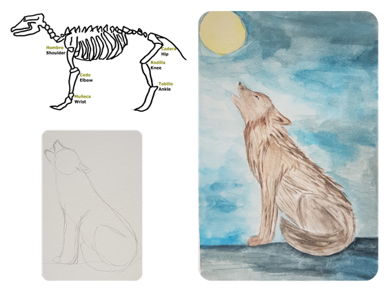 1307-iberian-wolf-16419966544074.png
