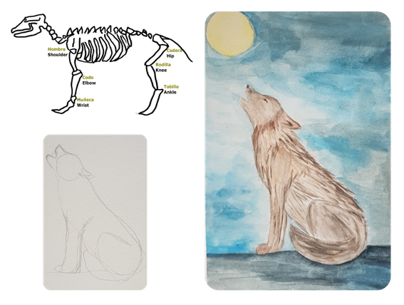 1757-iberian-wolf-16419966544074.png