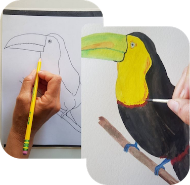 2169-toucan-watercolor.png