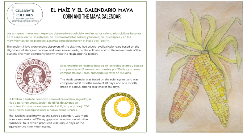 843-corn-project.png