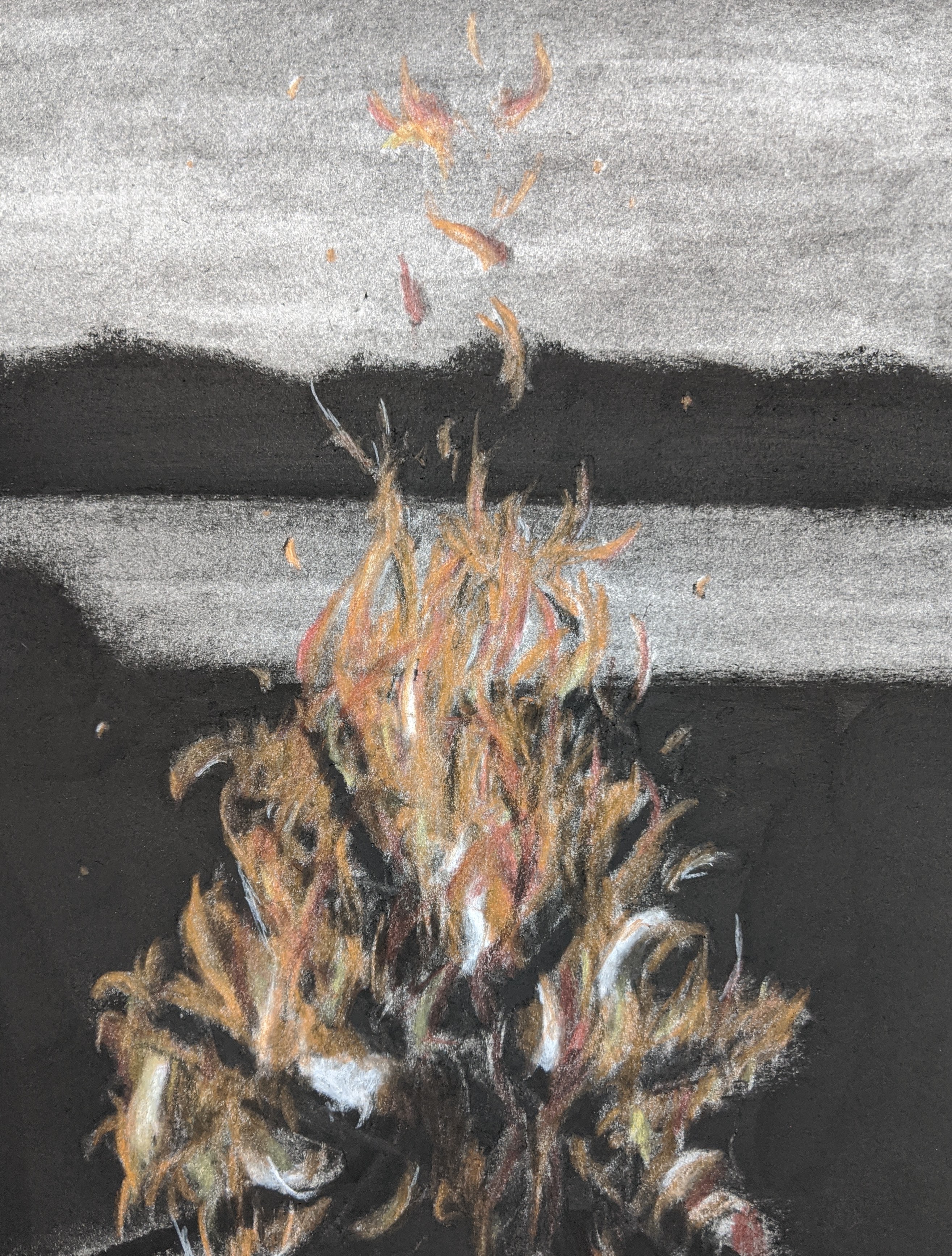 Campfire 276-campfire.jpg