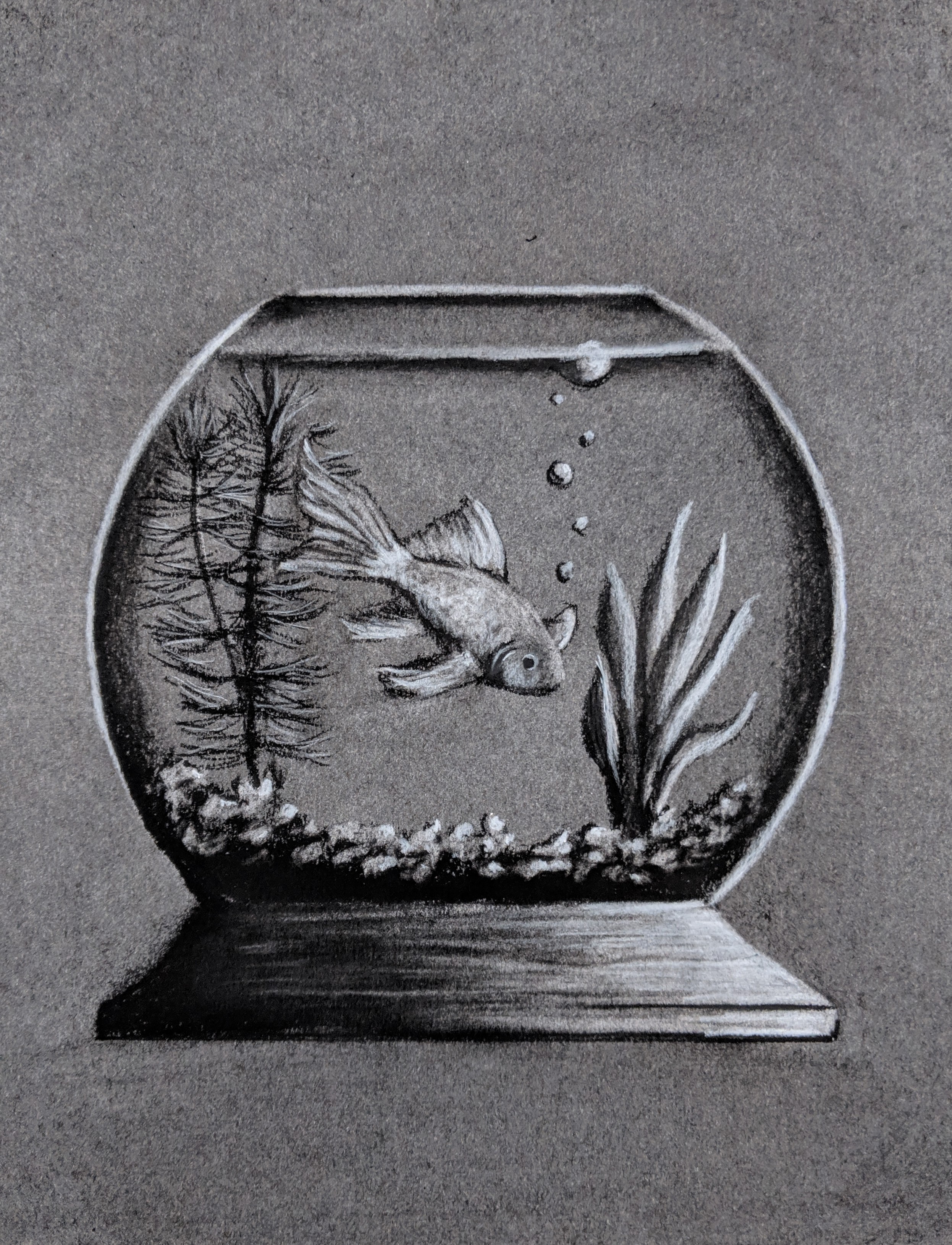 276-fish-bowl.jpg