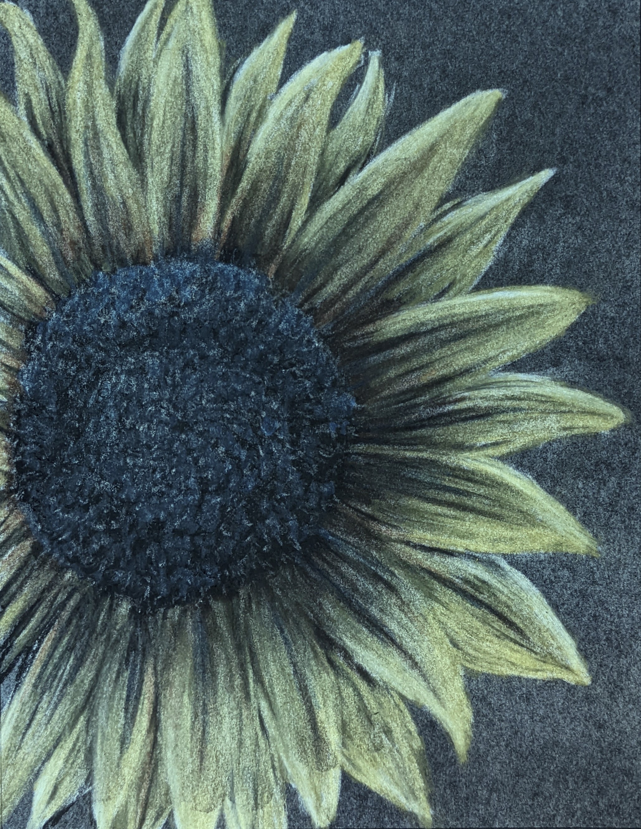 82-supportive-sunflower2-17061107238355.jpg