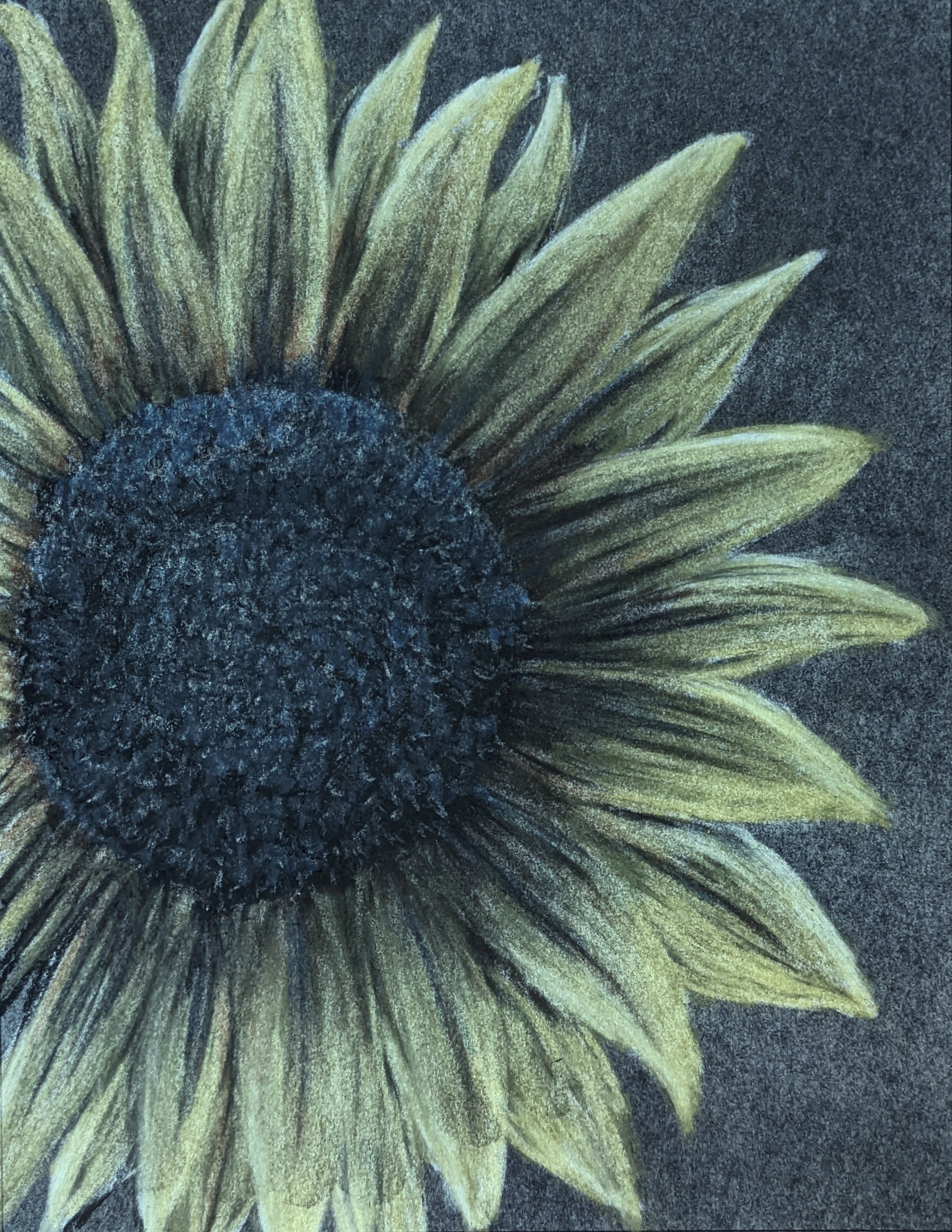 Supportive Sunflower 82-supportive-sunflower2-17061107238355.jpg