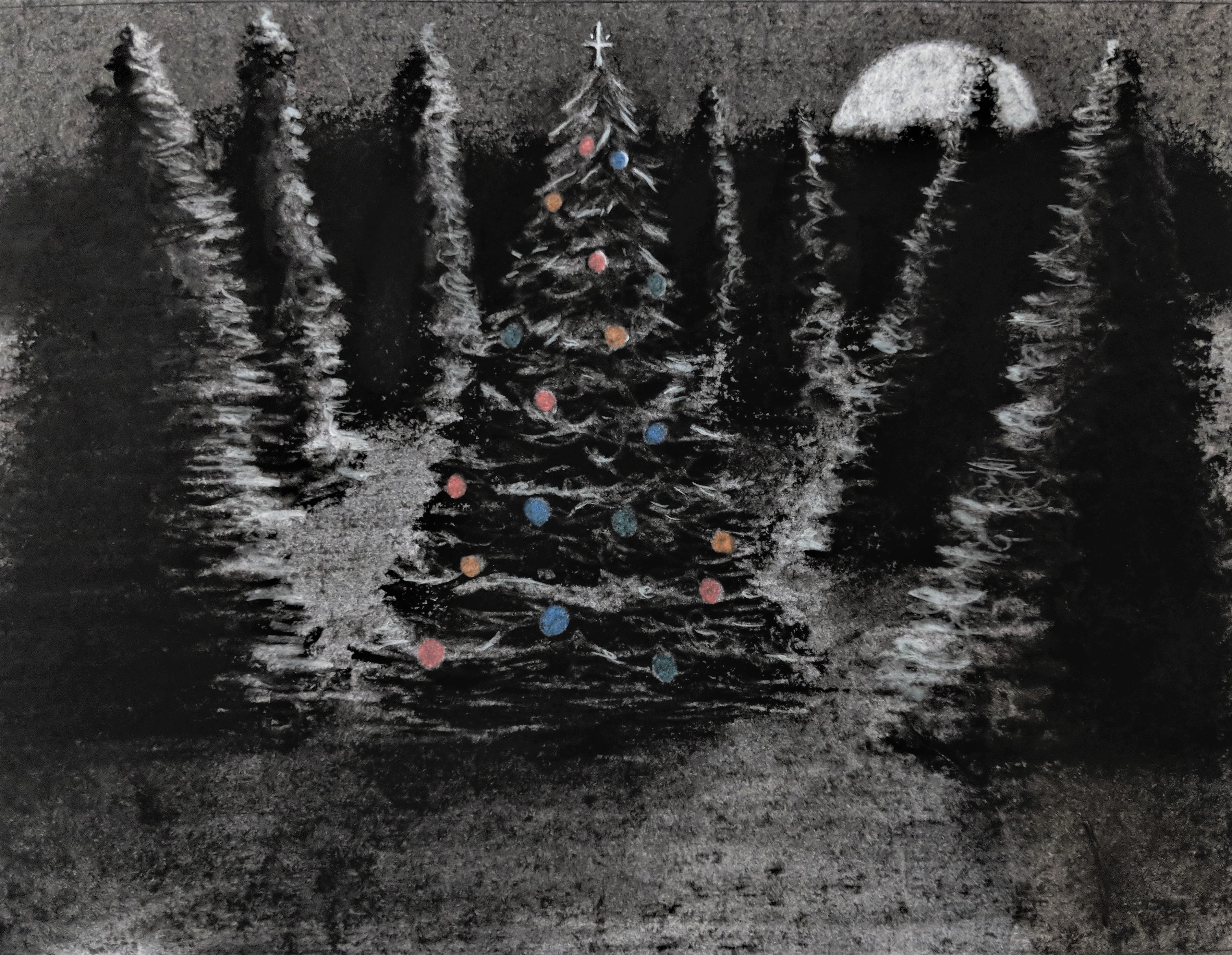 Chosen Pine 83-chosen-pine-16644561726913.jpg