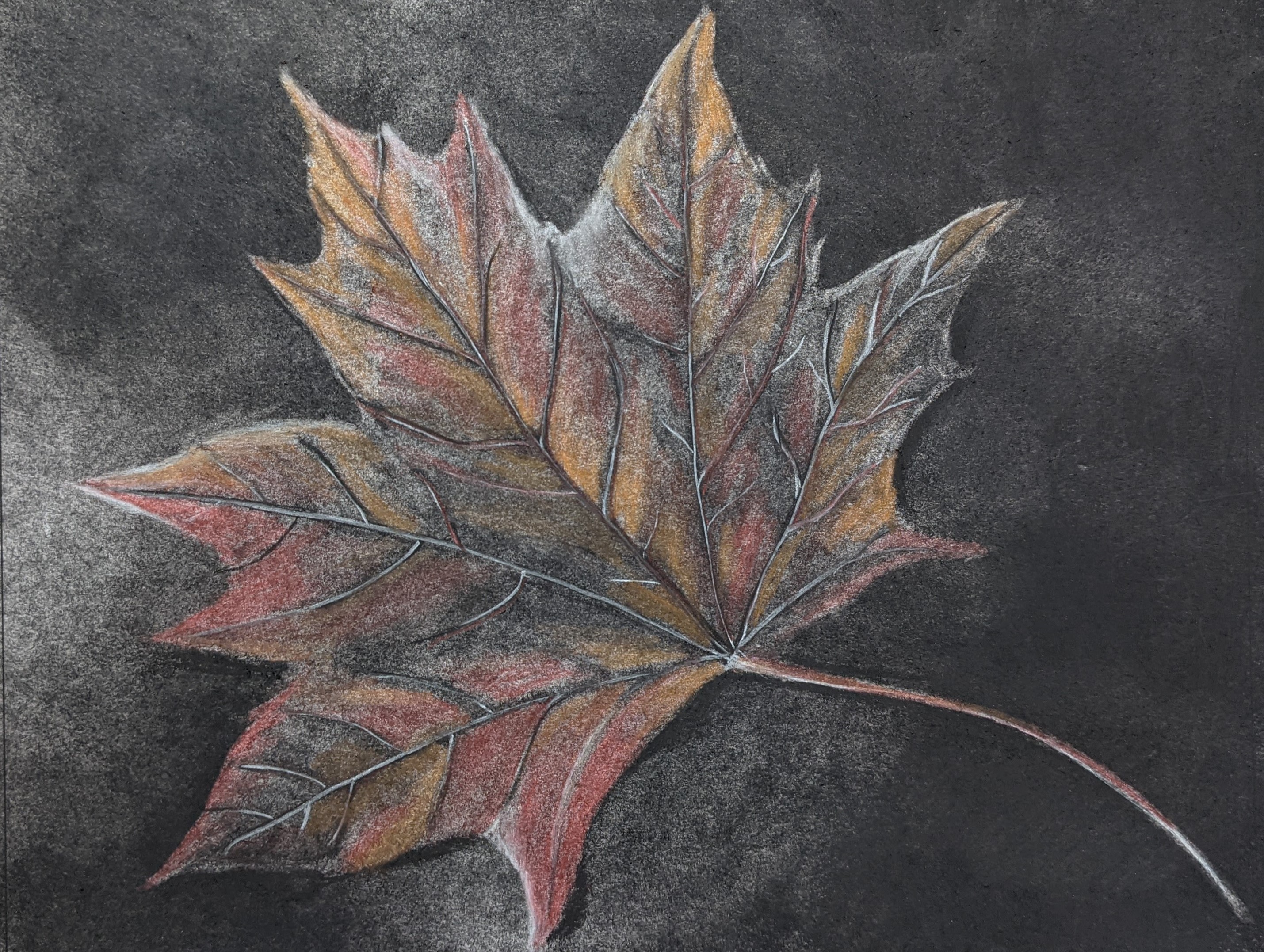 Leafy 83-leafy.jpg