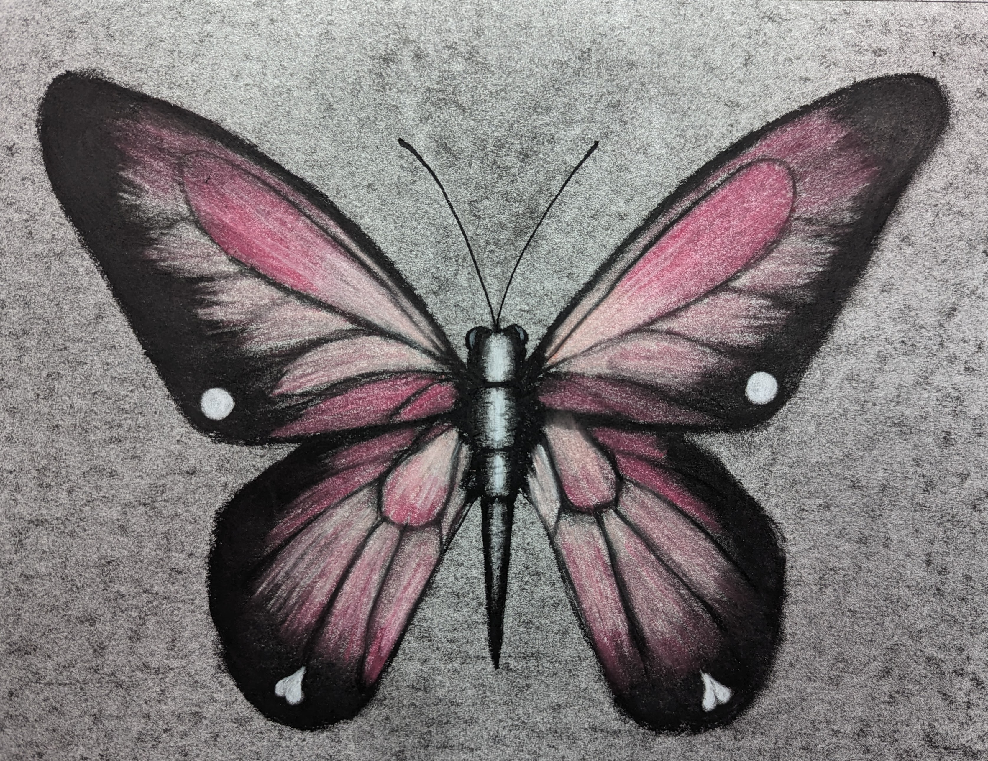 Transformation 83-transformation-16933409937993.jpg