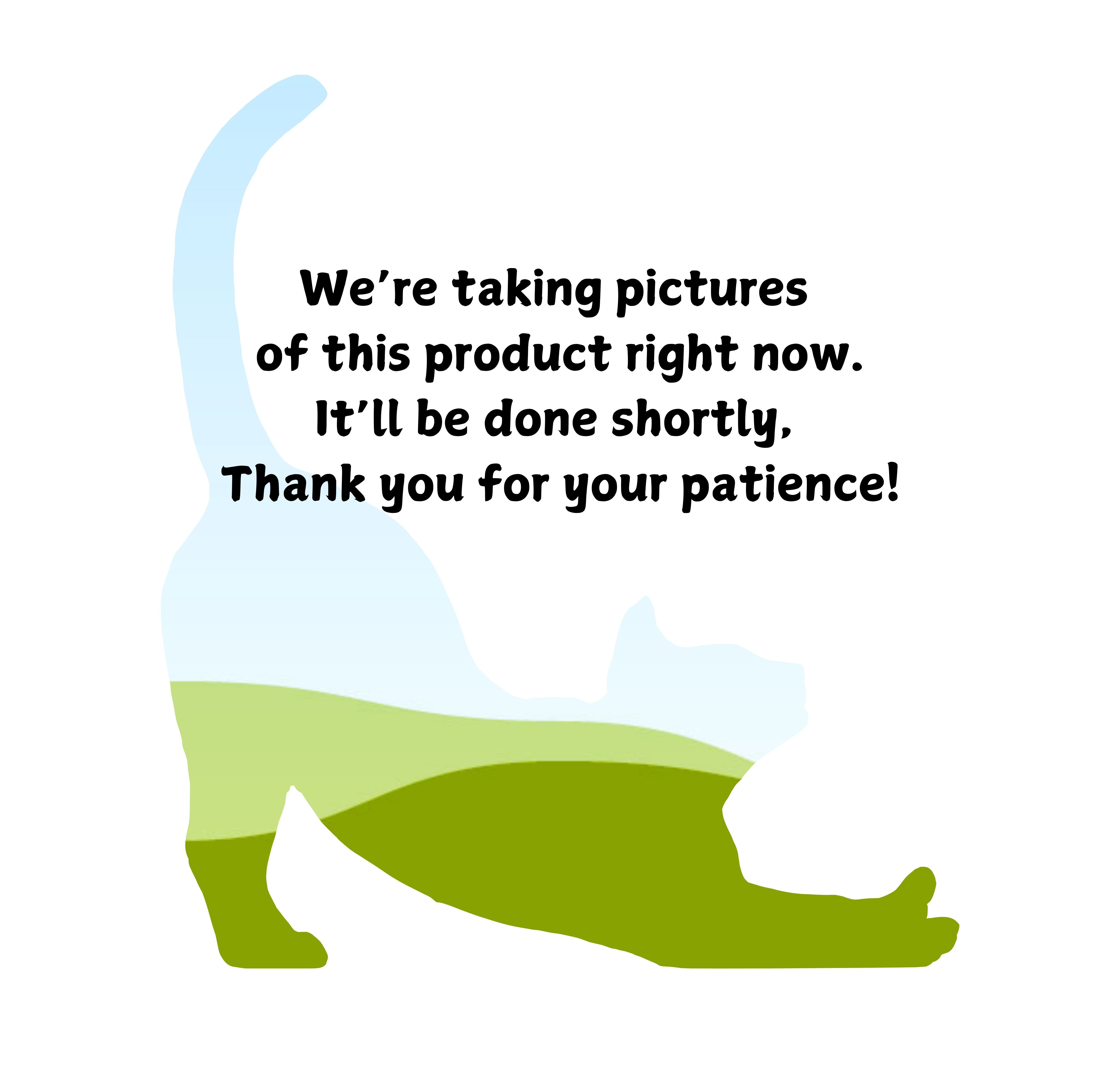 017050004773397-were-taking-pics-right-now-17359249131452.jpg