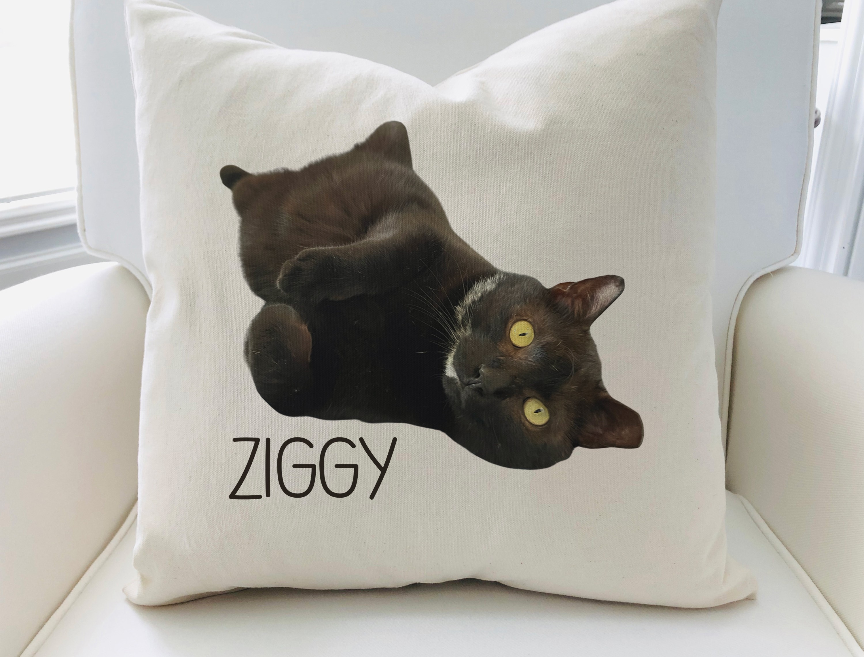 06030002280380-ziggy-white-pillow-mockup-17356050163615.jpg