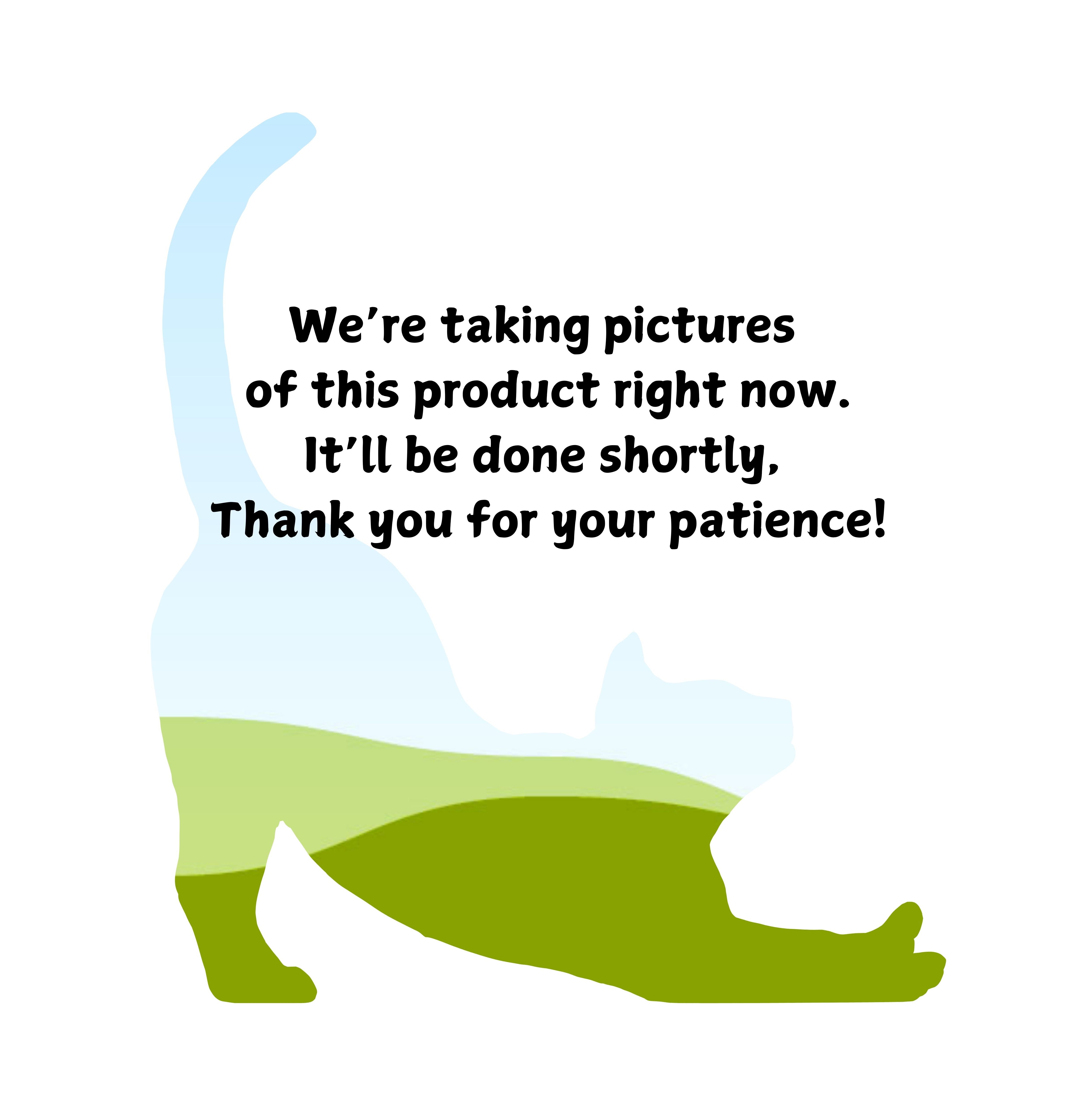 43048945000379-were-taking-pics-right-now-17359249131452.jpg