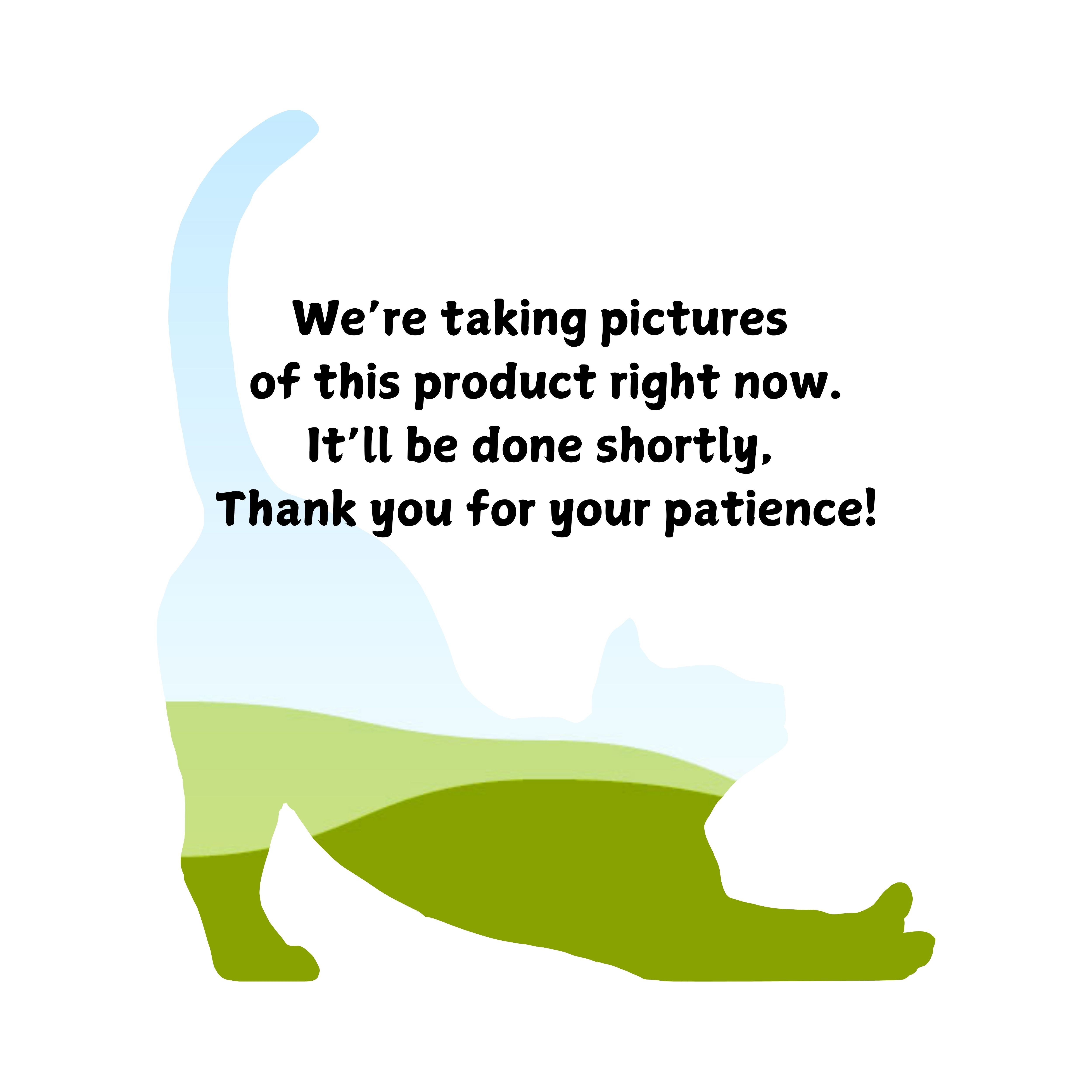 431-were-taking-pics-right-now-17359249131452.jpg