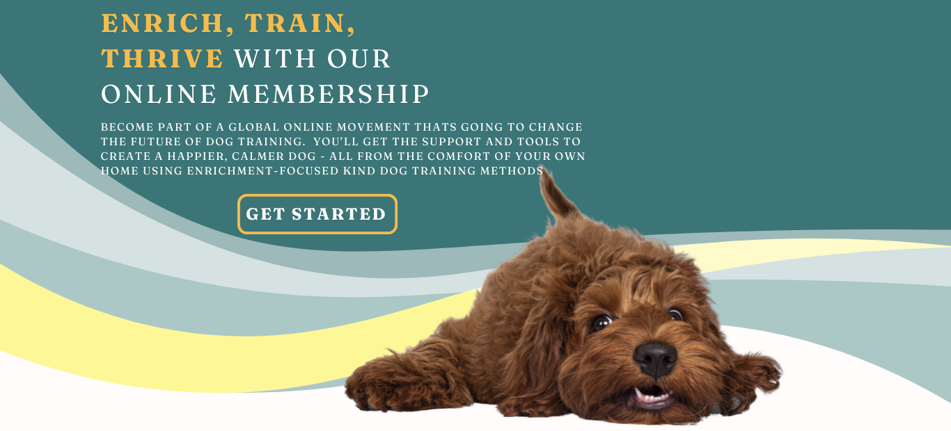 07713666201353-online-dog-training-courses-17419719891087.png