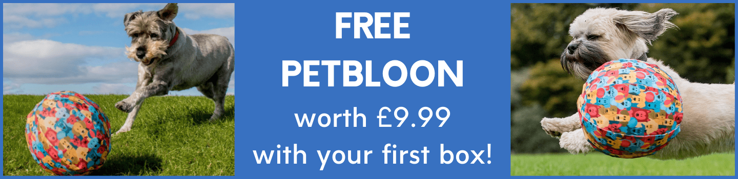 649-get-a-free-petbloon-worth-£999-with-your-first-box-5-min.png