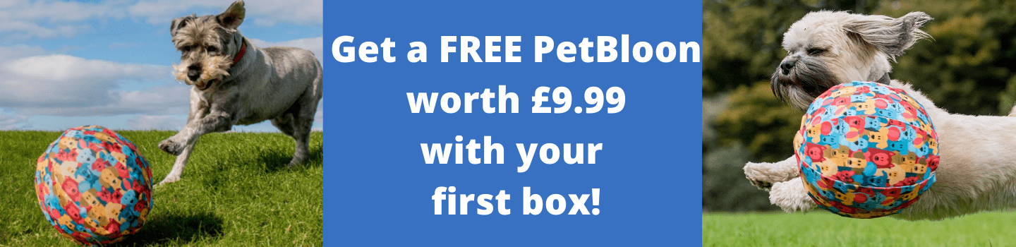 664-get-a-free-petbloon-worth-£999-with-your-first-box-min-16466874104287.png