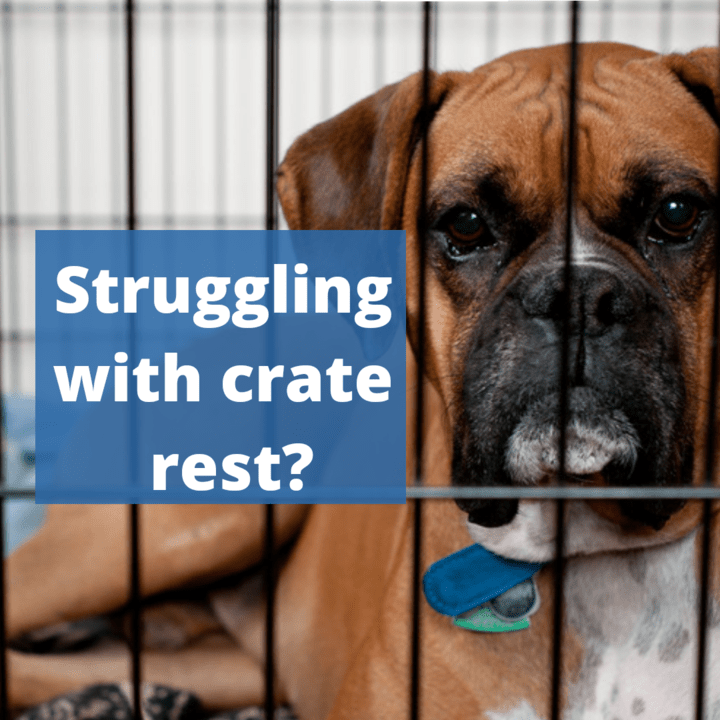 Help With Common Crate Rest Problems