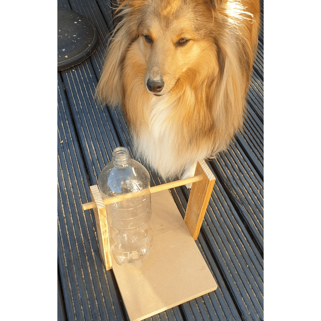 How to make a dog puzzle toy 