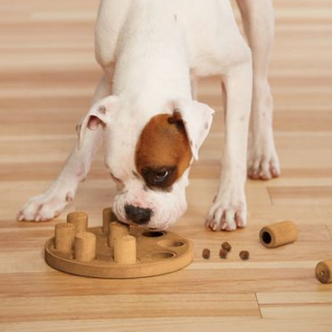 Dog Treat Puzzle Dog snack bone toy blue 