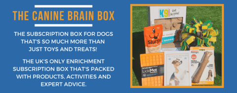 the canine brain box advert